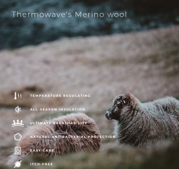 Merino Gloves 