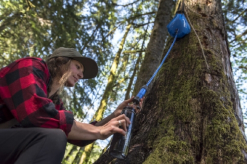 Lifestraw Flex Water Filter with Gravity Bag